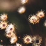 L&rsquo;abus psychologique