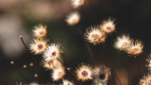 Lire la suite à propos de l’article L&rsquo;abus psychologique